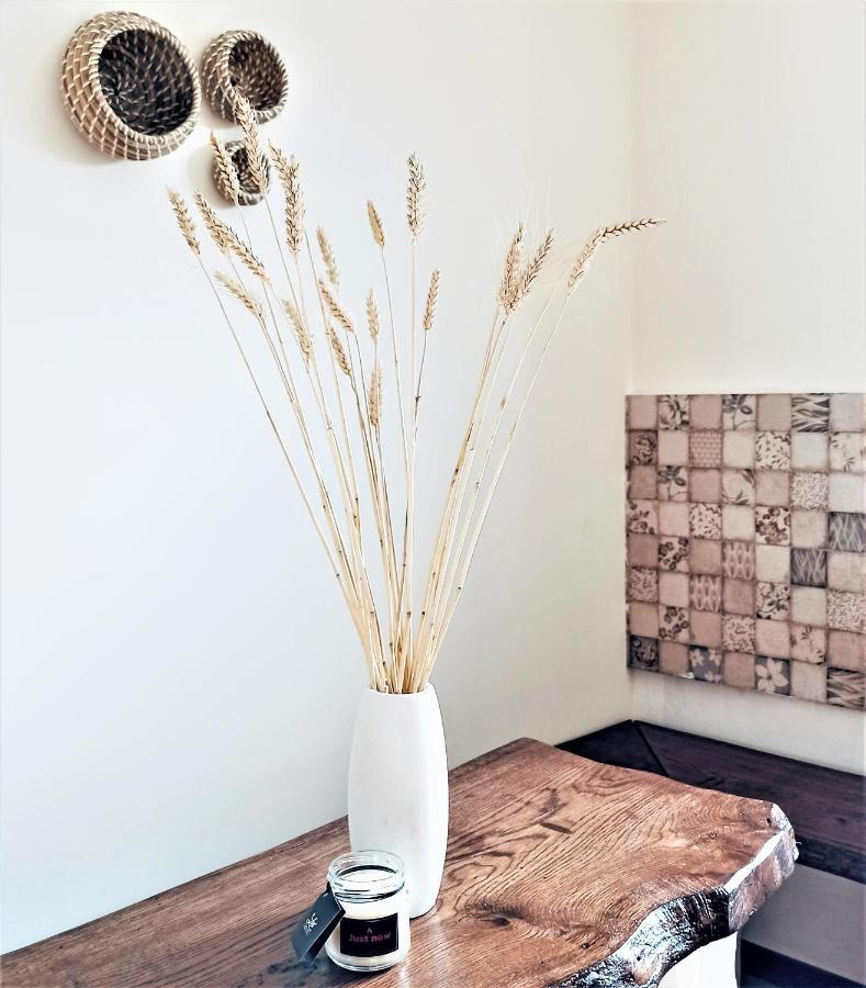 Onomad Apartment Boljevac ภายนอก รูปภาพ